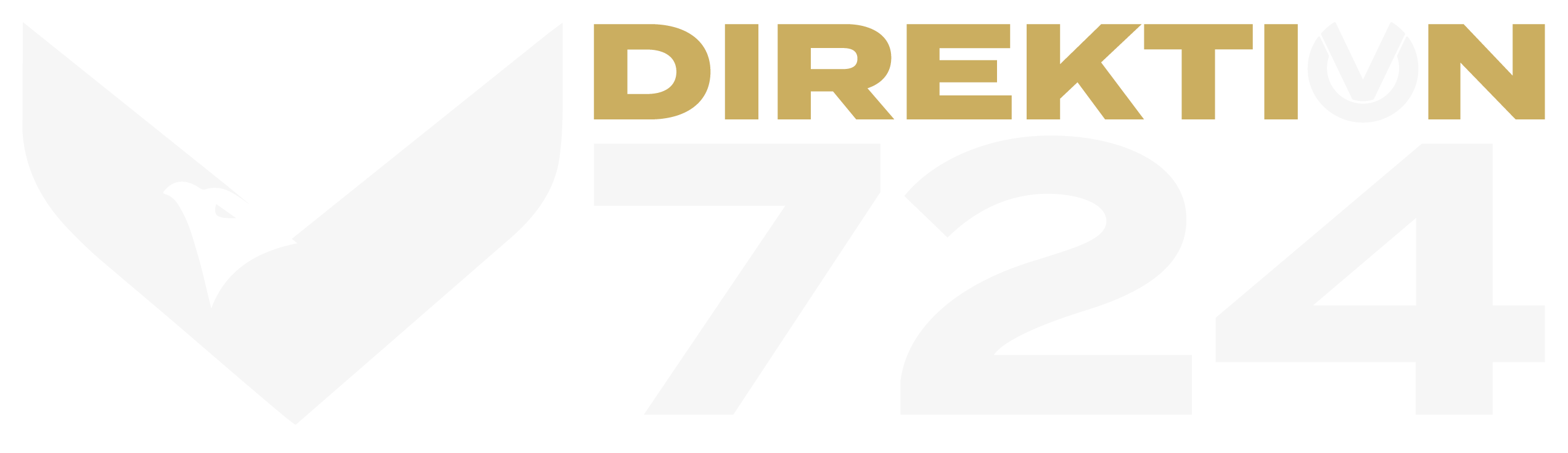 DBSO4 - Logo